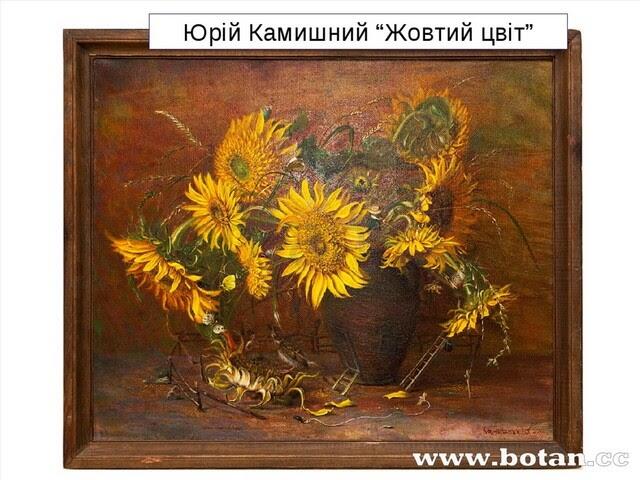 Описание: https://lh4.googleusercontent.com/8bas6eA7gqnoV2D37hOcaEhmTzrZZPl2BqgZ2tGYN9BC26ZWhtGidKDw2Jj3i2trC9fOz7zpDZ-1HNQ1F9quEI5OIw1hwyuEQ8sU7gBwAlglB8SykfWGpA6TwmN63pk-B37NubrZ