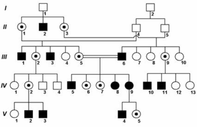 0200sov6-b326-398x256.png