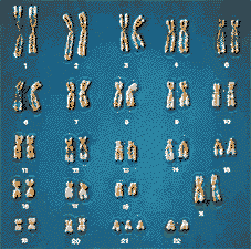 0200sphm-e805-227x225.gif