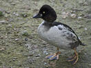 0200spy7-5d65-940x698.jpg