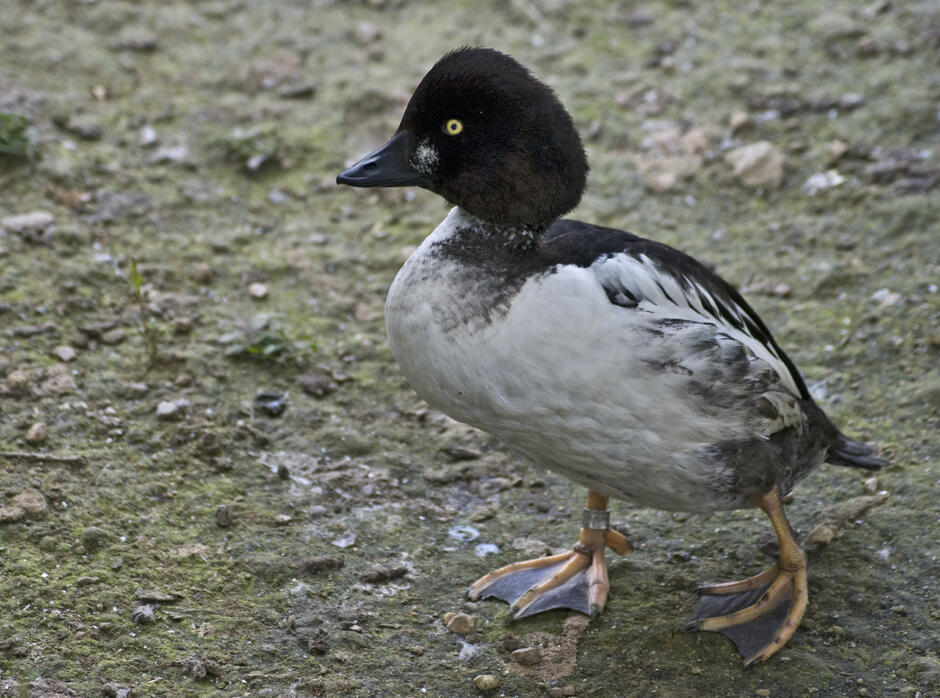0200spy7-5d65-940x698.jpg