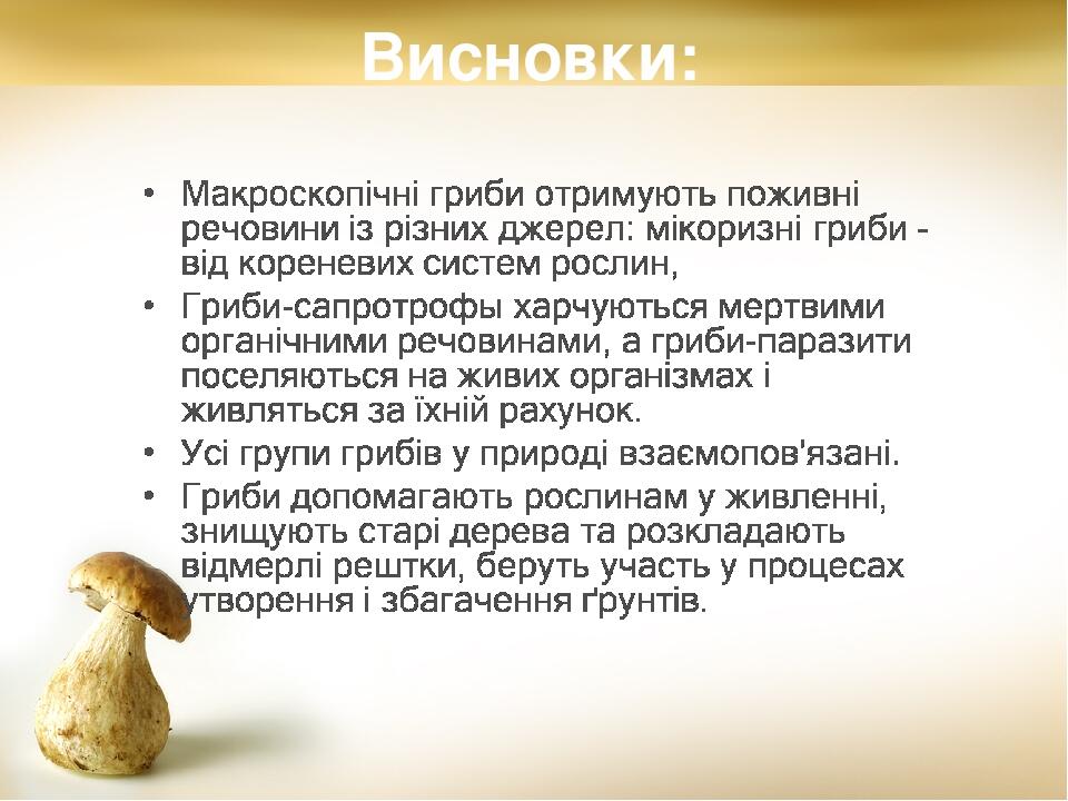 Висновки: