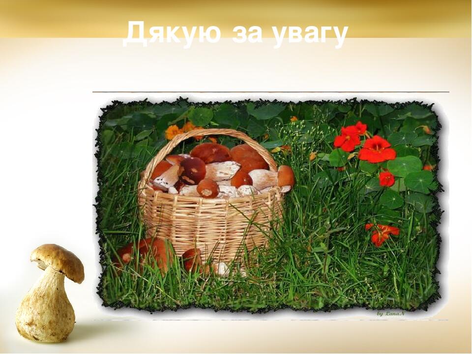 Дякую за увагу