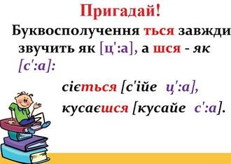 0200srw4-6b8f-430x305.jpg