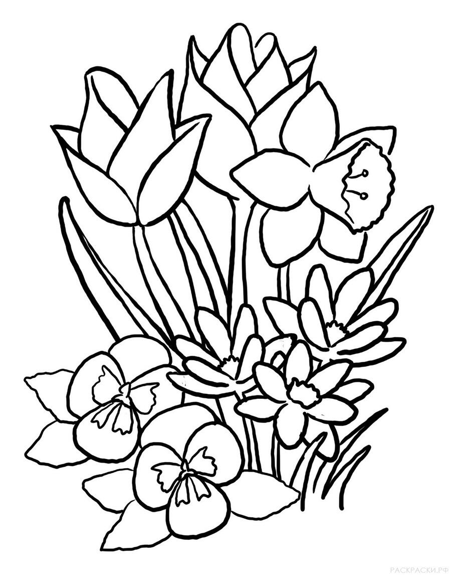 Картинка Весняні квіти