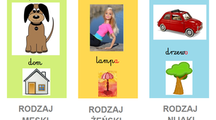 Rodzaje rzeczowników i przymiotników