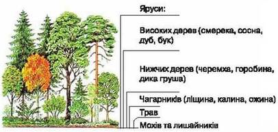 0200svs6-7ddd-406x193.jpg