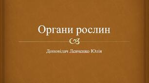 Презентація на тему: "Органи рослин"