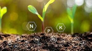 (Копія) 11 кл. Мінеральні добрива. Кислотні та лужні грунти. 