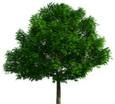 0200t0vb-7b4c-236x213.png