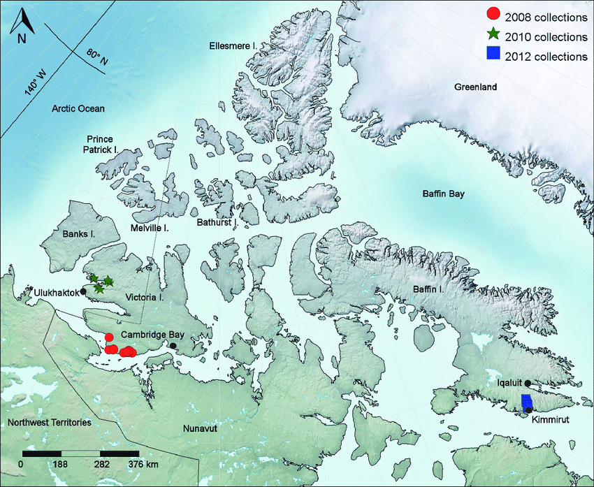 0200t15h-caa2-850x697.png