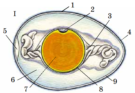 0200t2b2-ec3a-471x325.png