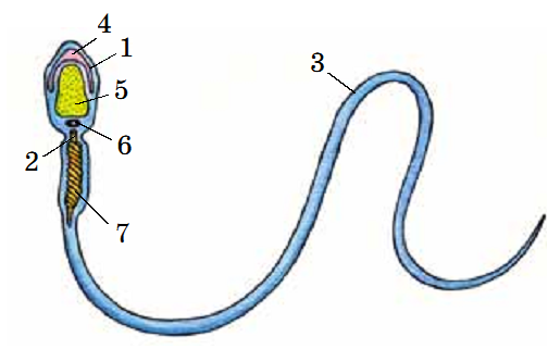 0200t2bm-8a6a-504x321.png