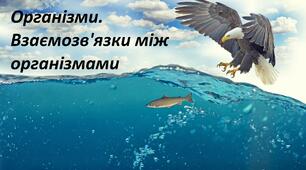 Взаємозв'язки організмів