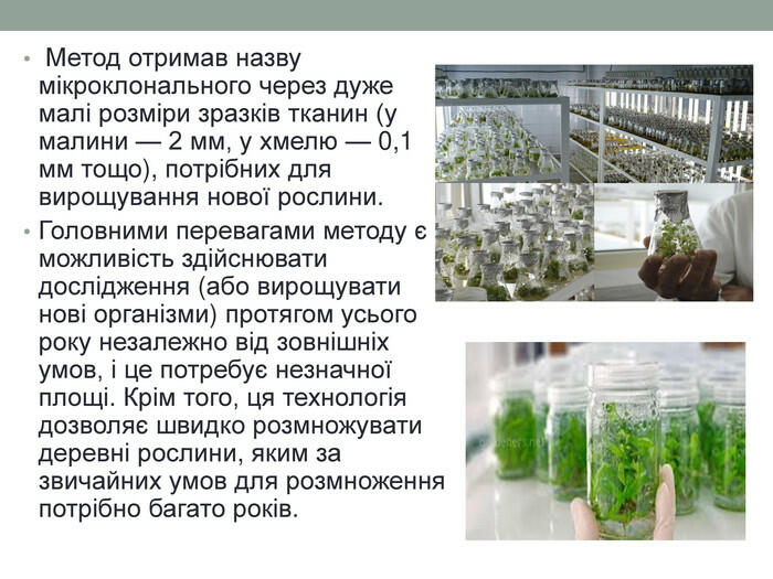 Метод отримав назву мікроклонального через дуже малі розміри зразків тканин (у малини — 2 мм, у хмелю — 0,1 мм тощо), потрібних для вирощування нової рослини. Головними перевагами методу є можливість здійснювати дослідження (або вирощувати нові організми) протягом усього року незалежно від зовнішніх умов, і це потребує незначної площі. Крім того, ця технологія дозволяє швидко розмножувати деревні рослини, яким за звичайних умов для розмноження потрібно багато років.