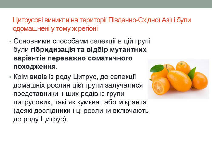 Цитрусові виникли на території Південно-Східної Азії і були одомашнені у тому ж регіоніОсновними способами селекції в цій групі були гібридизація та відбір мутантних варіантів переважно соматичного походження. Крім видів із роду Цитрус, до селекції домашніх рослин цієї групи залучалися представники інших родів із групи цитрусових, такі як кумкват або мікранта (деякі дослідники і ці рослини включають до роду Цитрус).