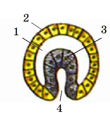 0200t3rn-5142-380x388.png