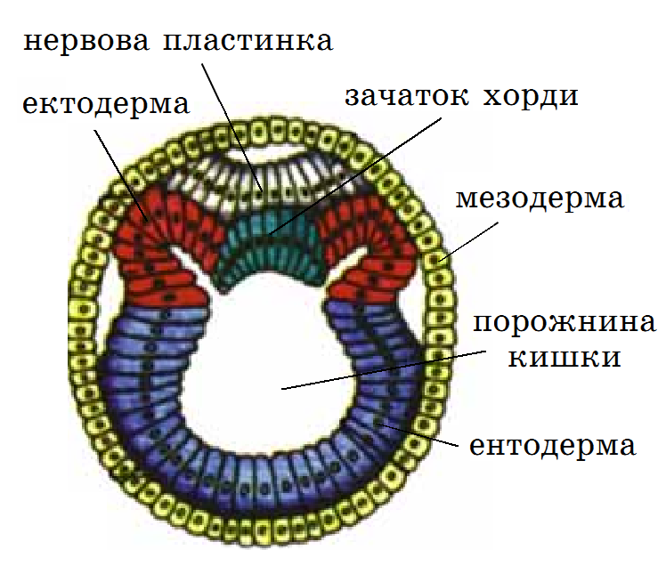 0200t3ua-b07a-748x636.png