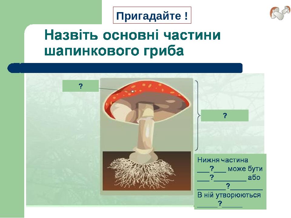 Пригадайте !