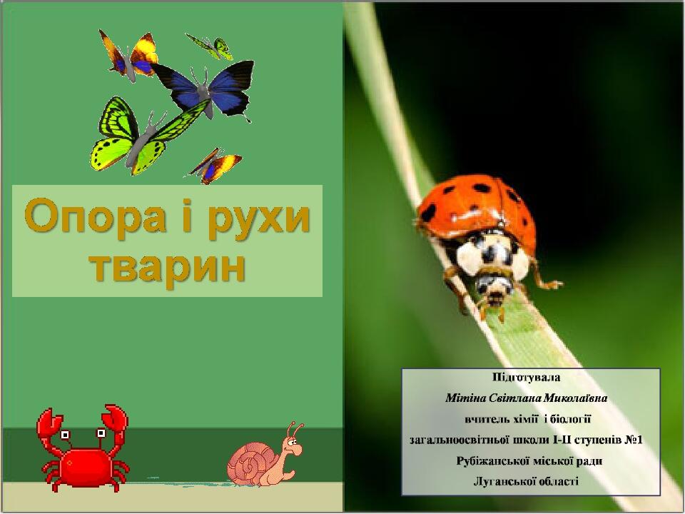 Оригинальные шаблоны для презентаций: https://presentation-creation.ru/powerpoint-templates.html Бесплатно и без регистрации.