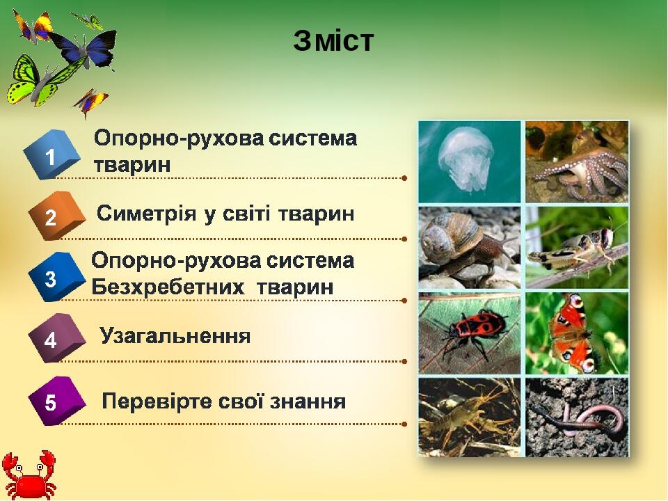 Зміст