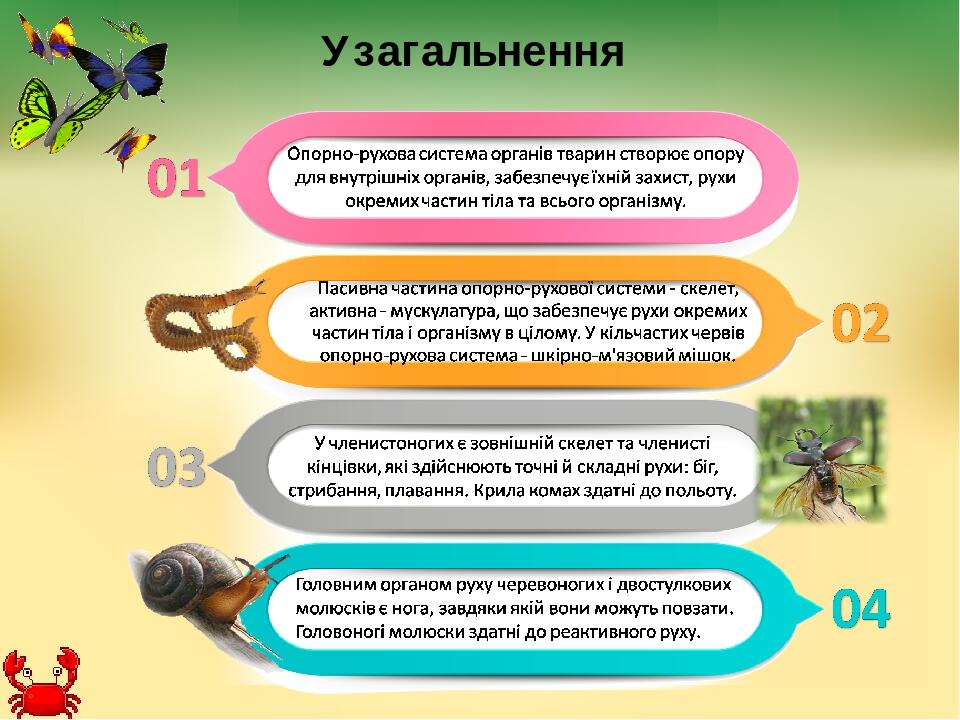 Узагальнення Опорно-рухова система органів тварин створює опору для внутрішніх органів, забезпечує їхній захист, рухи окремих частин тіла та всього...