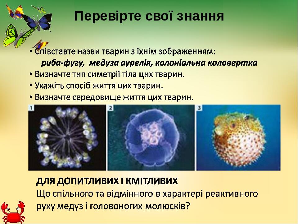 Перевірте свої знання