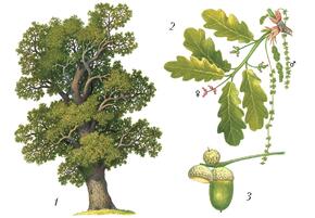 0200tel1-5d47-290x201.jpg