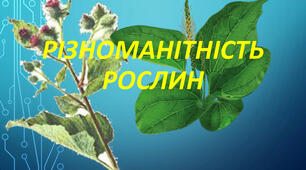 Різноманітність рослин