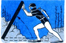 0200tim9-69a6-217x144.png