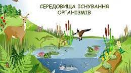 Наземно - повітряне та водне середовища життя організмів.