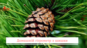 День досліджень і творчості в 3 класі