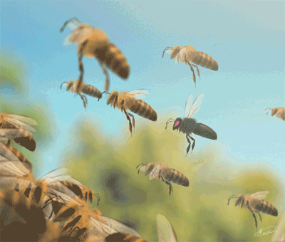 0200tlwr-13a7-679x577.gif