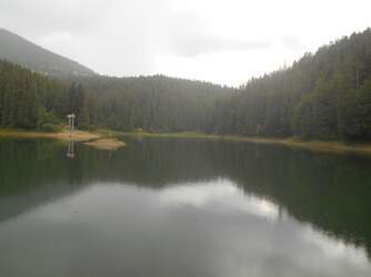 0200tm8r-1a01-334x250.jpg