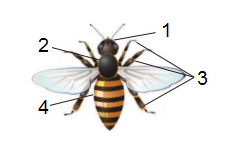0200tmd0-cf6b-300x189.png