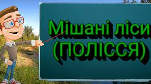 Мішані ліси ( Полісся ).