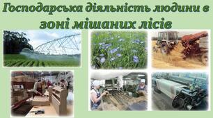 Господарська діяльність людини в зоні мішаних лісів