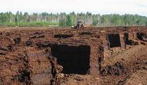 Підприємства із видобутку торфу на Київщині планують розпродати