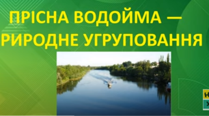 Природні угруповання. Водойми