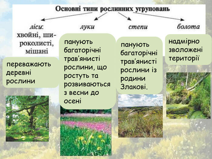 Презентація "Рослинні угруповання"