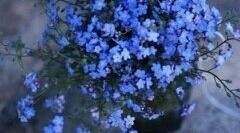 (Копія) Пори року. Погода./The seasons. The weather.
