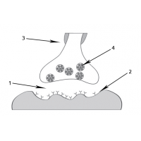 0200tt8v-b35e-200x200.png