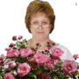 https://fs02.vseosvita.ua/0200ttjv-ac3b-90x90.png