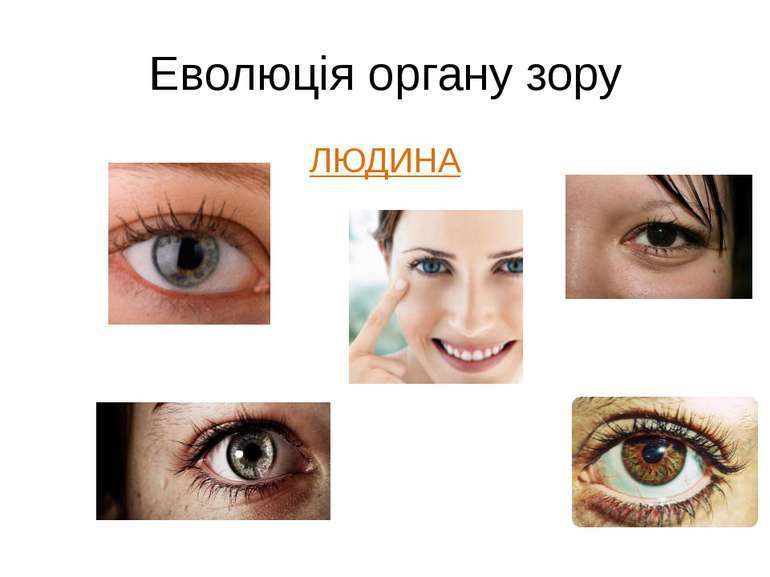 ЗОРОВА СЕНСОРНА СИСТЕМА - презентація з біології