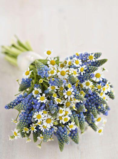 0200u0dp-aceb-390x525.jpg