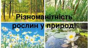 РІЗНОМАНІТНІСТЬ РОСЛИН