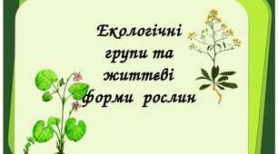 Життєві форми рослин та екологічні групи
