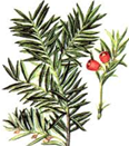 0200u0yy-8f49-144x163.png