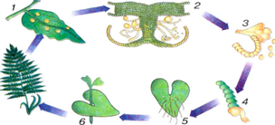 0200u109-9f6c-438x199.png