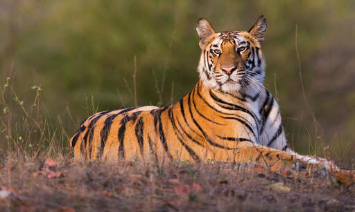 0200u4gm-8813-512x307.jpg